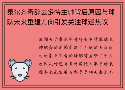 泰尔齐奇辞去多特主帅背后原因与球队未来重建方向引发关注球迷热议
